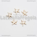 5 Stelle Marine in Pasta di Turchese bianco 15mm