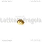 5 Conchiglie in metallo Glod Plated 3mm