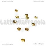 5 Conchiglie in metallo Glod Plated 3mm