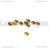 5 Conchiglie in metallo Glod Plated 3mm