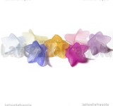 5 Fiori in Lucite colorata 23x21mm