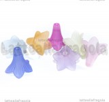 5 Fiori in Lucite colorata 23x21mm