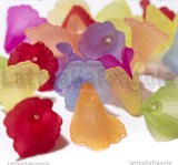 5 Fiori in Lucite colorata 20x20mm