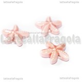Stella Marina in ceramica Rosa con foro passante 19x18mm