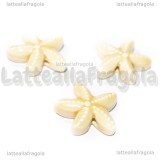 Stella Marina in ceramica Beige con foro passante 19x18mm