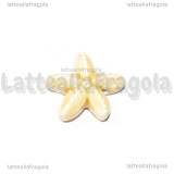 Stella Marina in ceramica Beige con foro passante 19x18mm