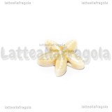 Stella Marina in ceramica Beige con foro passante 19x18mm