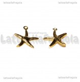 Ciondolo Stella Marina in Acciaio inox dorato 15x15mm