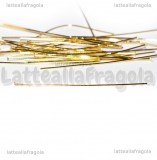 50 Chiodi o spilli in acciaio inox dorato T 50x0.7mm