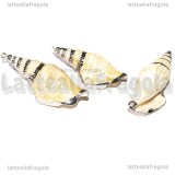 Ciondolo Conchiglia Naturale finiture argento 58-66x24-27mm