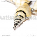 Ciondolo Conchiglia Naturale finiture argento 58-66x24-27mm