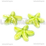 Stella Marina in ceramica verde con foro passante 19x18mm