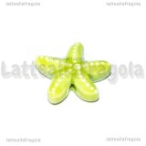 Stella Marina in ceramica verde con foro passante 19x18mm
