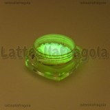 Sabbietta Fluorescente 2.5gr Cod.06