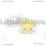 Sabbietta Fluorescente 2.5gr Cod.02