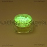 Sabbietta Fluorescente 2.5gr Cod.02
