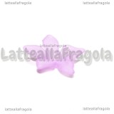 10 Fiori in lucite Rosa foro passante 28x7mm