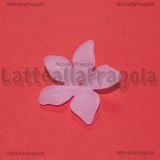 10 Fiori in lucite Rosa foro passante 28x7mm