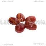 Cabochon in Agata Rossa 18x13mm