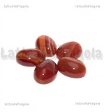 Cabochon in Agata Rossa 18x13mm