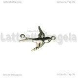Connettore Rondine in acciaio inox 20x17mm