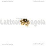 10 Coppette Copriperla Filigranate in metallo Gold Plated 8x3mm
