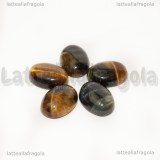 Cabochon in Occhio di Tigre 18x13mm