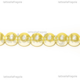 Perle in Vetro Cerato Champagne 8mm filo in cotone 38cm