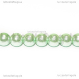 Perle in Vetro Cerato Celeste 8mm filo in cotone 38cm