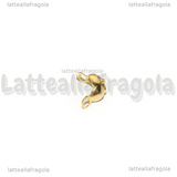 Coppia Coprinodo in Acciaio Dorato 6x4mm
