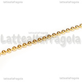 1 Metro di Catena a pallini in Acciao Inox Dorato 1.5mm