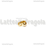 Coppia Coprinodo in Acciaio Dorato 4x2mm