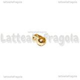 Coppia Coprinodo in Acciaio Dorato 4x2mm