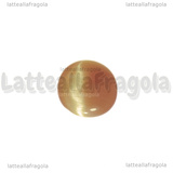 Cabochon in Occhi di Gatto arancio chiaro 25x18mm