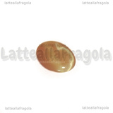 Cabochon in Occhi di Gatto arancio chiaro 25x18mm