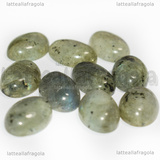 Cabochon in Labradonite 14x10mm