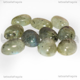 Cabochon in Labradonite 14x10mm