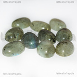 Cabochon in Labradonite 14x10mm