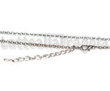 Collana in metallo argentato 80cm maglie tonde 2.5mm