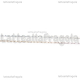 Catena in Acciaio Inox maglia rettangolare 2.7x0.8mm