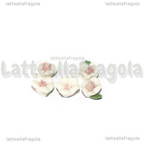 5 Fiori in Porcellana Cabochon 8-9x8-8.5x3.5-4mm