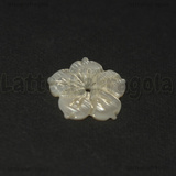 Fiore in Madreperla Bianca 24x2.5mm