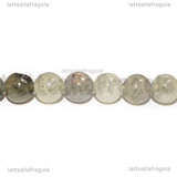 Perle in Labradonite 8mm filo 38cm circa