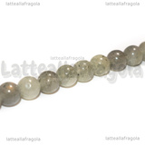 Perle in Labradonite 8mm filo 38cm circa
