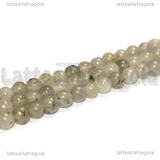 Perle in Labradonite 4mm filo 38cm circa