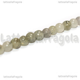 Perle in Labradonite 4mm filo 38cm circa