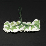 12 Rose Bianche in carta diametro 1cm