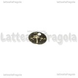 Targhetta Dente di Leone in Argento 925 6mm