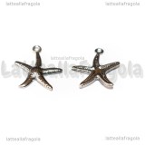 Ciondolo Stella Marina in Acciaio inox 18x15mm