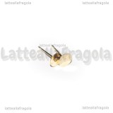 Coppia di Perni a base piatta 6mm Acciaio Inox Dorato con gommini